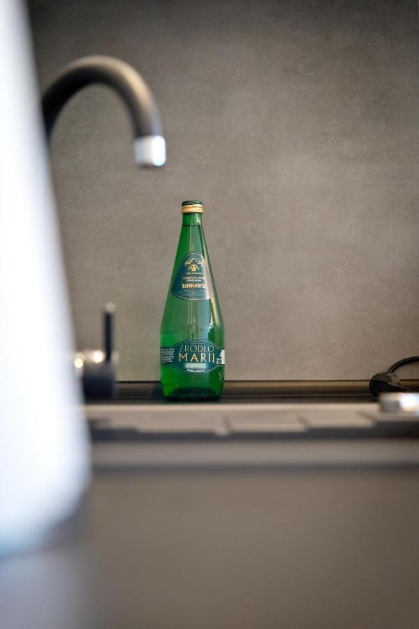 Apartament Kalinka ニサ エクステリア 写真